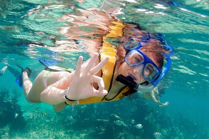 Snorkel in the second largest reef in the world Colorful tour in Puerto Morelos - Private beach club snack + tequila tasting: included, but be ready for pressure