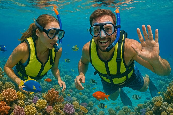 Snorkeling adventure at Puerto Morelos Reef National Park - Puerto Morelos Reef National Park: The Point of It All