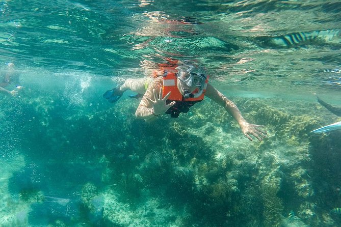 Snorkeling Adventure in Isla Mujeres - Classic or luxury catamaran: why your boat style can change the vibe