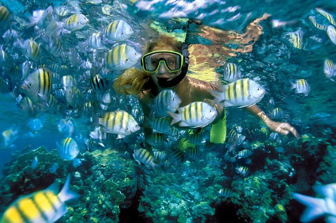 Snorkeling Adventure in Isla Mujeres - Drinks, service, and the “crew factor” that drives ratings