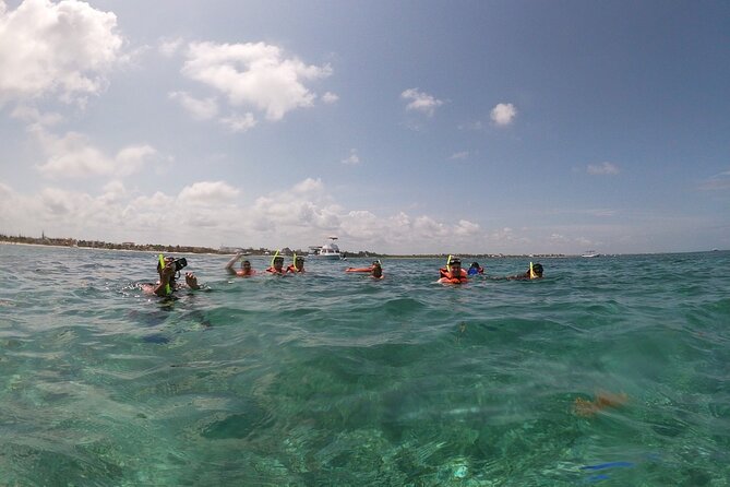 Snorkeling Adventure in Puerto Morelos - Snorkeling at Puerto Morelos: Reef Wall + Giant Barrel Corals