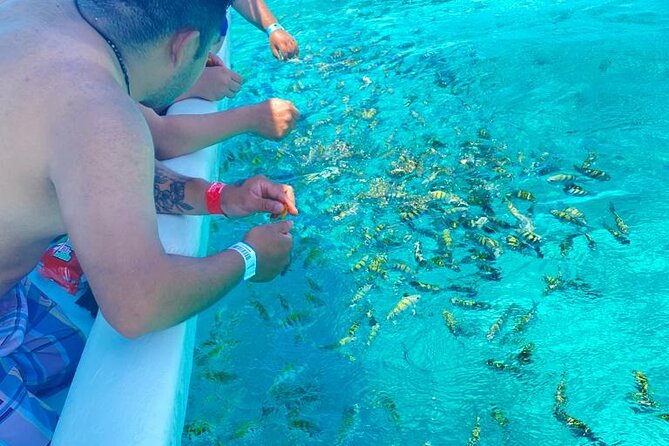 Snorkeling in Isla Mujeres and Underwater Museum - MUSA underwater museum: what you’ll notice once you’re there