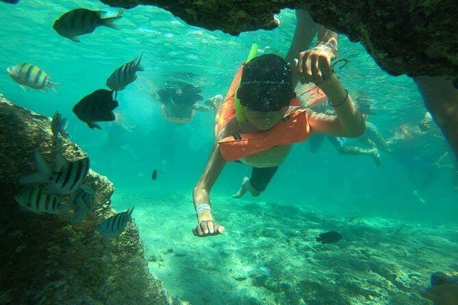 Snorkeling in Isla Mujeres and Underwater Museum - Snorkeling reality check: swim comfort and sea conditions