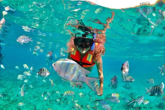 Snorkeling tour Express in Cancun with Certified Guide - Why Puerto Morelos reef snorkeling feels low-stress