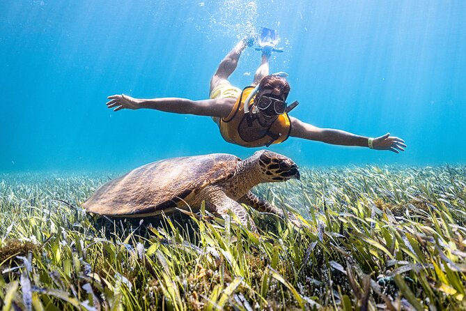 Snorkeling Tour with Turtles and Stingrays Puerto Morelos - Getting to Kay Club (Bahía Petempich) and exchanging your voucher
