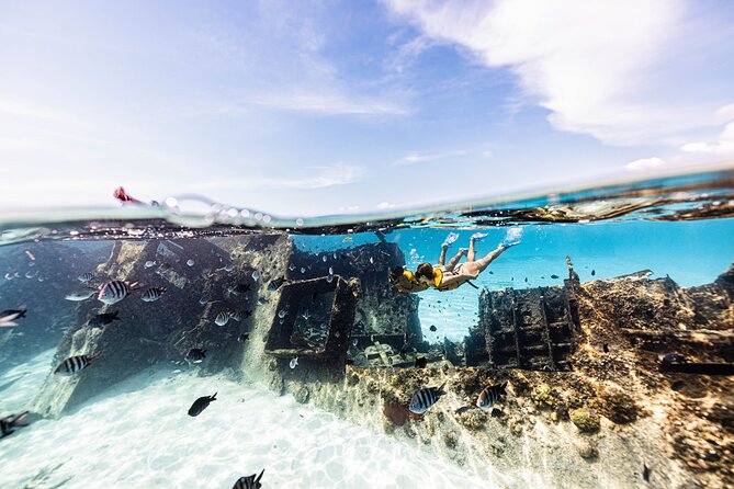 Snorkeling Tour with Turtles and Stingrays Puerto Morelos - The snorkeling part: turtles, stingrays, and a coral reef worth slowing down for