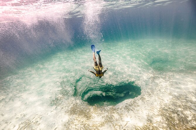Snorkeling Tour with Turtles and Stingrays Puerto Morelos - On-site restaurant: plan snacks and drinks for after snorkeling