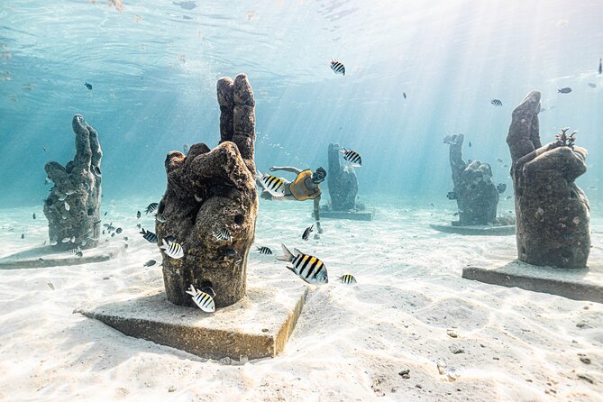Snorkeling Tour with Turtles and Stingrays Puerto Morelos - Marina facilities that actually help: lockers, showers, bathrooms