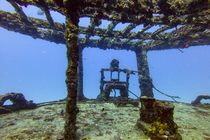 SPECIAL!! 2 Tank Wreck & Drift Reef dives - Price and value: is $125 worth it for this mix?