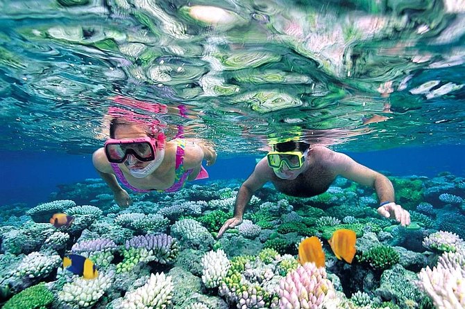 Special offer COMBO 2x1 (Tour to Isla Mujeres and Chichén Itzá ) for 1 price! - Beach Club Time: Buffets, Facilities, and a Real Island Break