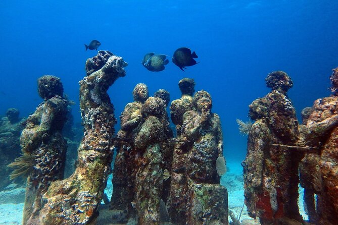 SPECIAL! Snorkel at MUSA - The Underwater Museum Reservation - Price check: what $55 buys you (and why it can be good value)