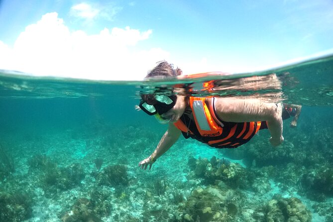 Speed boat aventure and snorkel - What the 2-hour speedboat segment really means in practice