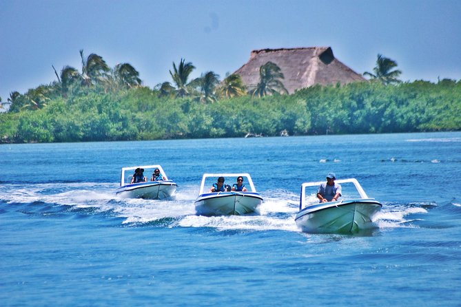 Speed Boat & Snorkel Tour with transportation ( only Cancun zone area) - Puerto Morelos and the Angel Reef: Your Snorkel Stop