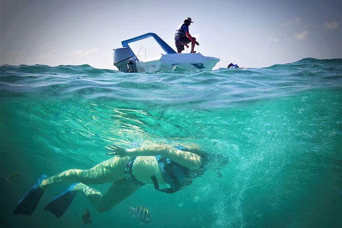 Speed Boat & Snorkel Tour with transportation ( only Cancun zone area) - What’s Included: Gear, Water, and the Guide Keeping You Moving