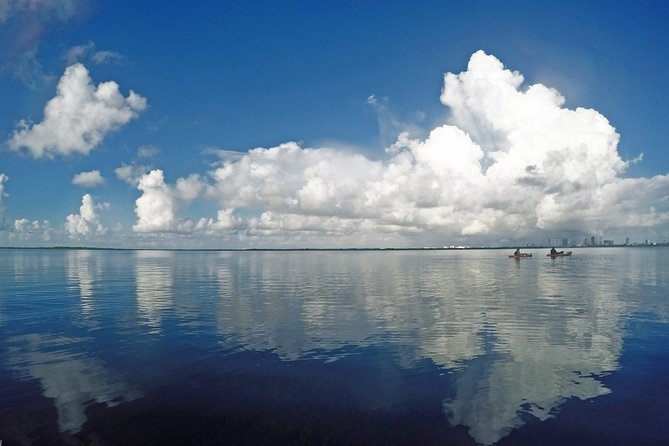 Speed Boat & Snorkel Tour with transportation ( only Cancun zone area) - The Dock Fee and Other Costs You Should Plan For
