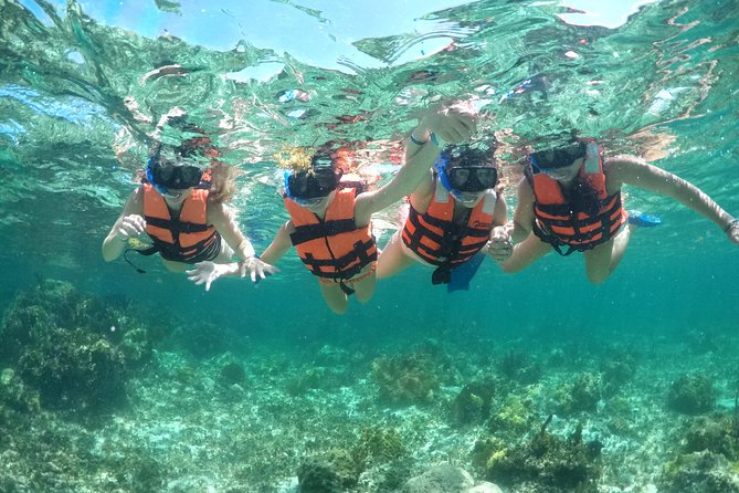 Speedboat adventure in cancun waters - The DIY Speedboat Ride: Why It’s Such Good Value