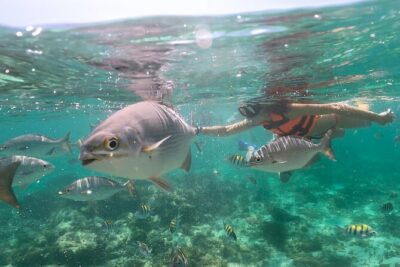Speedboat and Snorkeling in Cancun with Mayan Ceremony & Tasting - Puerto Maya check-in and the Mayan purification ceremony