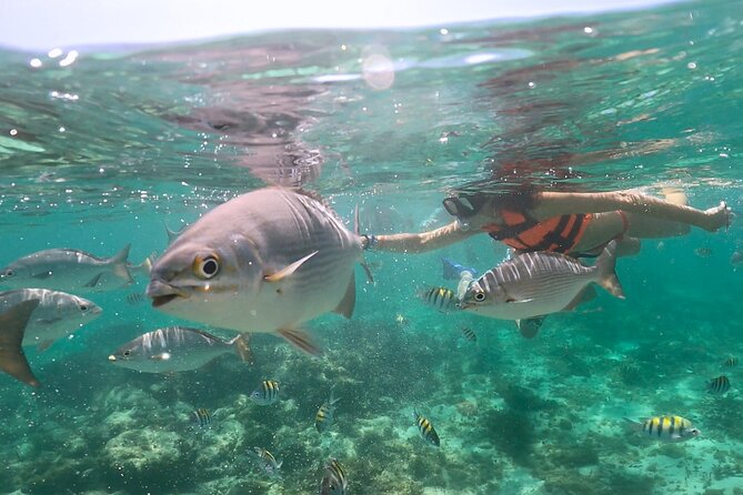 Speedboat and Snorkeling in Cancun with Mayan Ceremony & Tasting - Puerto Maya check-in and the Mayan purification ceremony