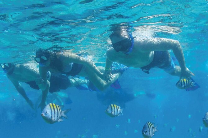 Speedboat Excursion: Thrilling Drive & Snorkel in Cancun Lagoon! - How the Timing Works: 2 Hours 15 Minutes That Don’t Drag
