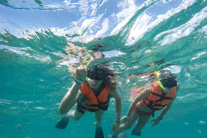 Speedboat jungle tour and snorkel - The guides: how Jimmy and Enrique shape the day