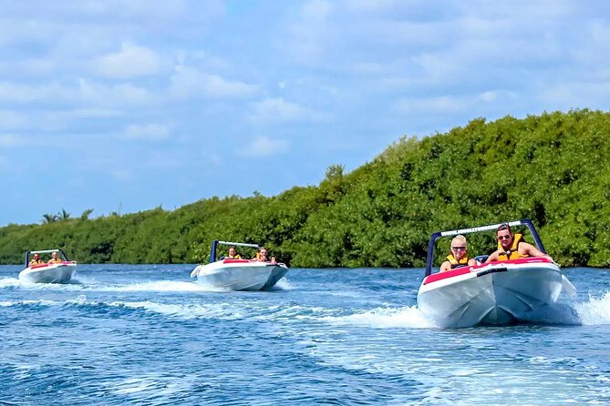 SpeedBoat Jungle Tour + Snorkel Experience in Cancun - Snorkeling time: gear is included, guide is there