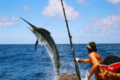 Sport Fishing at the Caribbean Sea. Enjoy an amazing time with friends & family - Small group fishing in the Caribbean: what the 10-person cap changes