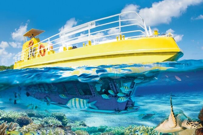 Subsea Subsee - Starting at Aquaworld: what to expect at the beginning