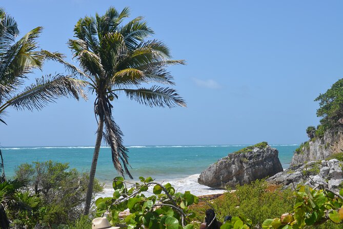 Swim with Turtles in Akumal, Cenote and Tulum Ruins Tour - Akumal Turtle Sanctuary: the swim part that sets the tone