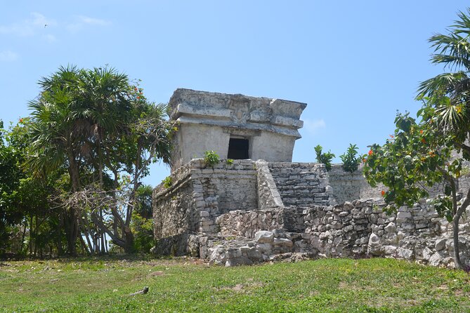 Swim with Turtles in Akumal, Cenote and Tulum Ruins Tour - Should you book this Akumal–Cenote–Tulum tour?