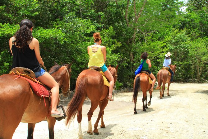 The best ATVs, zipline, cenote tour with lunch and transportation - Pickup, Transport, and the Timing That Can Make or Break the Day