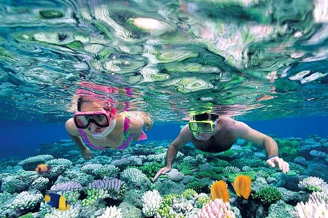 The Best Catamaran Tour to Isla Mujeres from Cancún - Guided snorkeling: what’s included, and what to do if it’s canceled