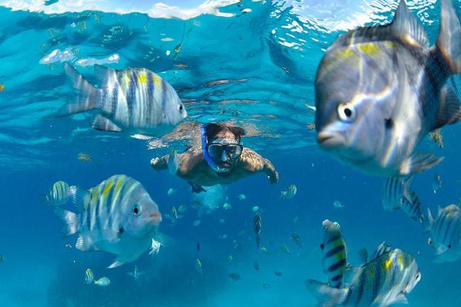 The Best Catamaran Tour to Isla Mujeres from Cancún - Exploring Isla Mujeres at your own pace (and making it count)