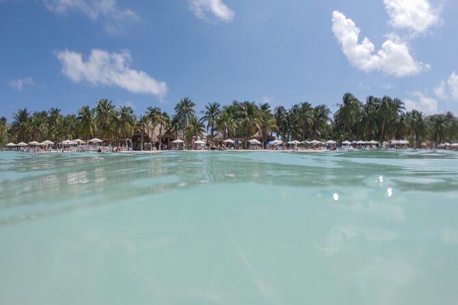The Best Catamaran tour to Isla Mujeres with Open Bar and Lunch - Price and Logistics: The Real Cost and the One Risk to Watch