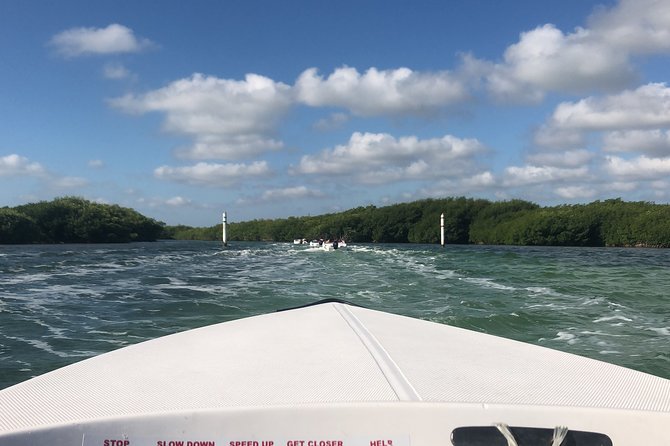 The Best Speedboat Tour In Cancun through Nichupte Lagoon, Snorkel included. - Wildlife chances: crocodiles and why timing matters