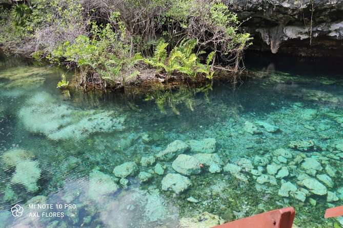 The great snorkeling adventure at the Riviera Maya private tour - The lunch and snacks plan that keeps the day from going sideways