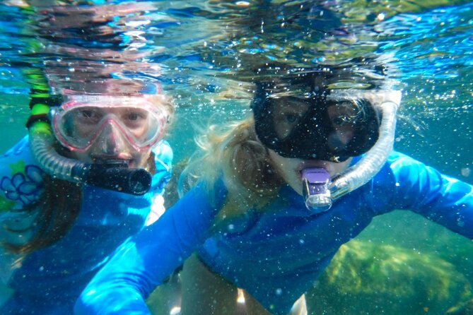 The great snorkeling adventure at the Riviera Maya private tour - Who should book this private Riviera Maya nature tour?