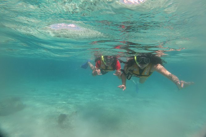 The most Intrepid Speedboat Adventure in Cancun Snorkel included - Fitness Level: What Moderate Really Means Here