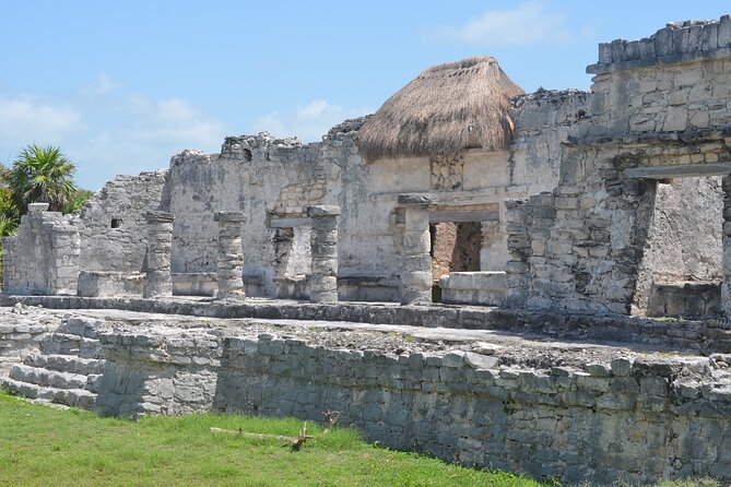 Tour 4 Cenotes House Turtle Tulum - What Guides Actually Add (Names You Might Meet)