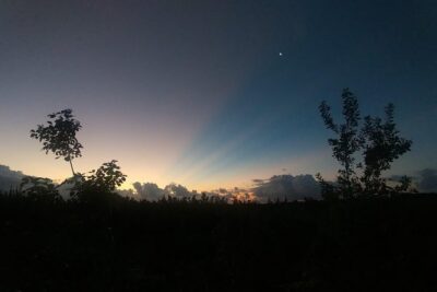 Tour Herpetologico - Spotting reptiles, frogs, bats, and more with a guide at your side