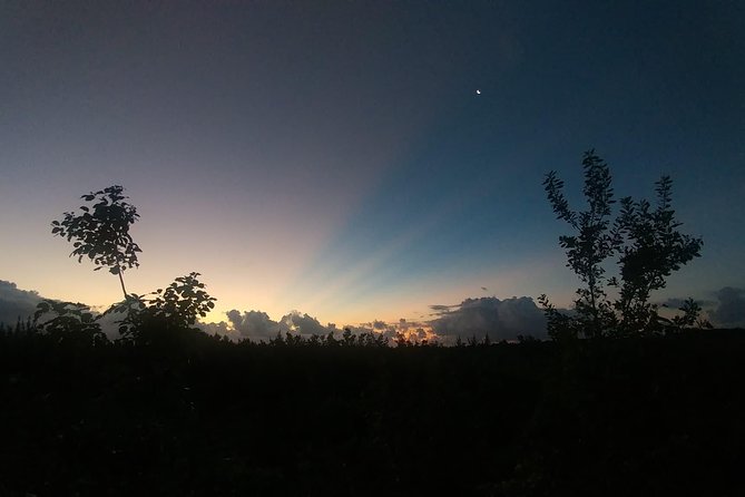Tour Herpetologico - Spotting reptiles, frogs, bats, and more with a guide at your side
