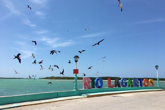 Tour to Las Coloradas Pink Waters and Boat Ride in Rio Lagartos with Lunch. - Keeping your day smooth: organization lessons and a smart safety habit