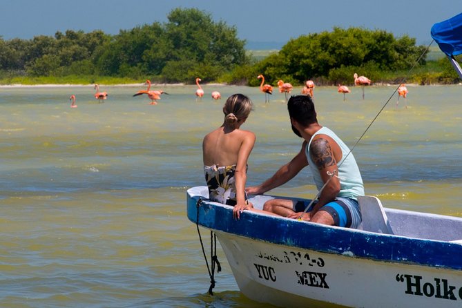 Tour to Las Coloradas Pink Waters and Boat Ride in Rio Lagartos with Lunch. - Who should book this tour?