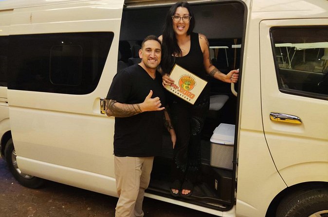 Transportation Cancun Airport to Playa del Carmen Roundtrip 1-7px - Who should book this transfer, and who might want alternatives