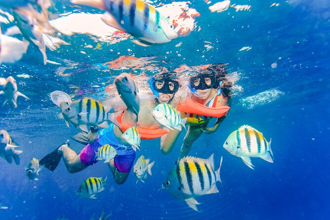 Trip to Isla Mujeres by Catamaran, with snorkeling and drinks - Isla Mujeres arrival: 1.5 hours of freedom plus a private Beach Club meal