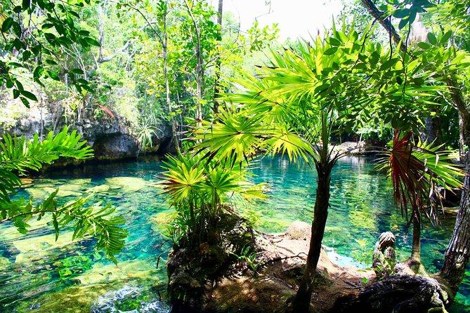 Tulaka Cenote Experience - Value: why this route can beat random cenote hopping