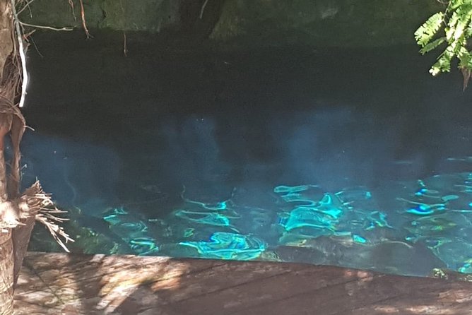 Tulaka Cenote Experience - Should you book the Tulaka Cenote Experience?