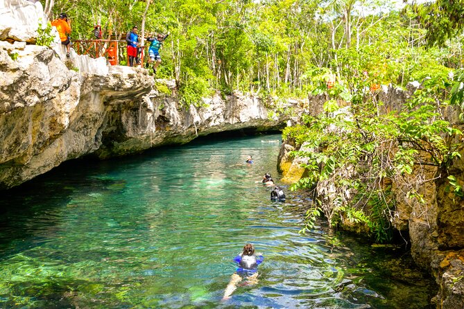 Tulum Akumal Snorkel Tour and 4 Cenotes Small Group All Fees Incl - Akumal snorkel for one hour: gear included, marine life spotlight