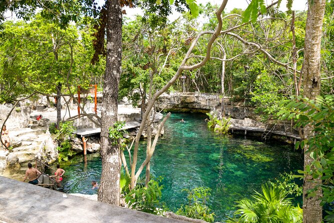 Tulum Akumal Snorkel Tour and 4 Cenotes Small Group All Fees Incl - Price and value check: $155 with one mandatory cash fee