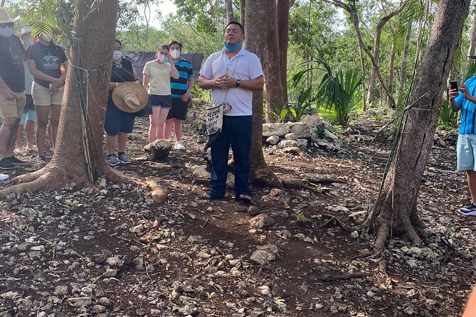 Tulum, Coba, Cenote Kuxtal and Playa Del Carmen! Deluxe 4x1 Tour - Quinta Avenida in Playa del Carmen: Free Time to Eat and Browse