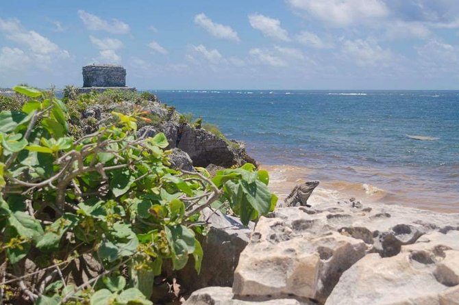 Tulum & Coba Private Tour - Stop 3: Cenote Xaay Ha Snorkeling With Stalactites and Crystal Water